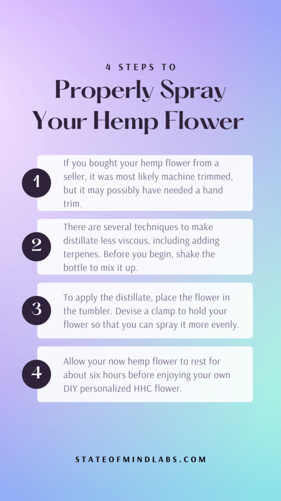 4 steps to properly spray your hemp flower with HHC infographic 576x1024 1
