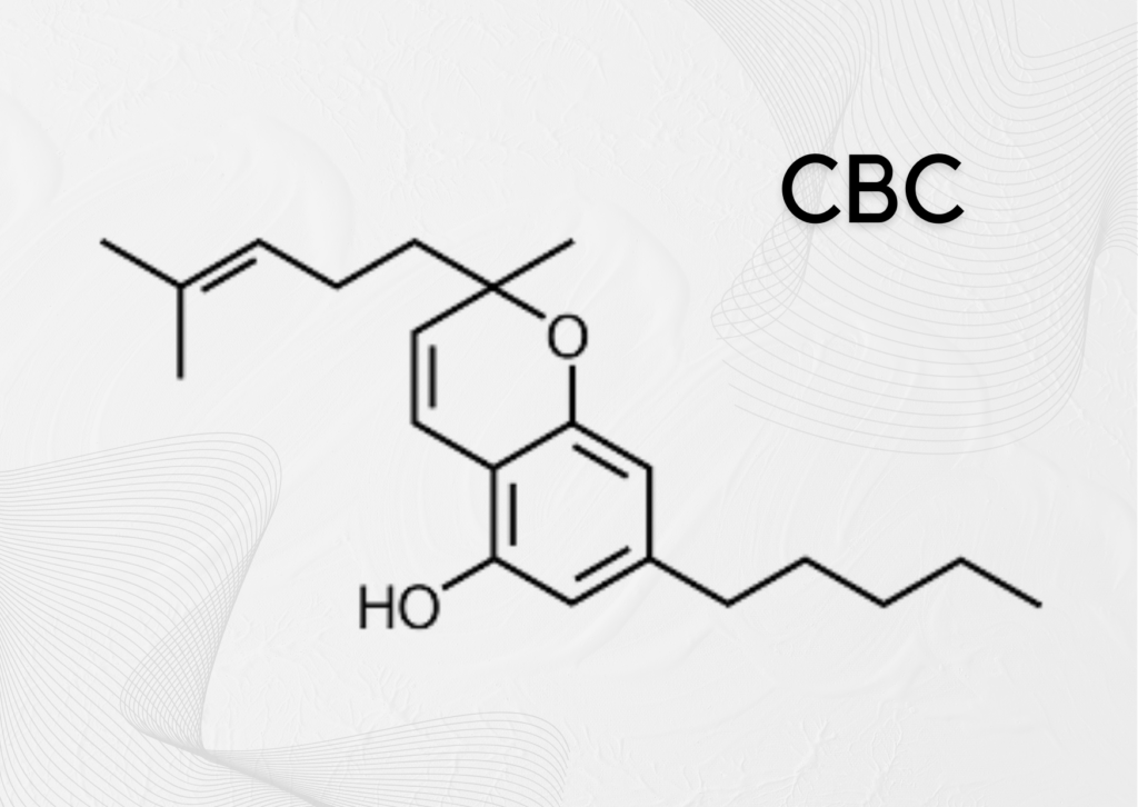 Read more about the article Best Ways To Take CBC Isolate