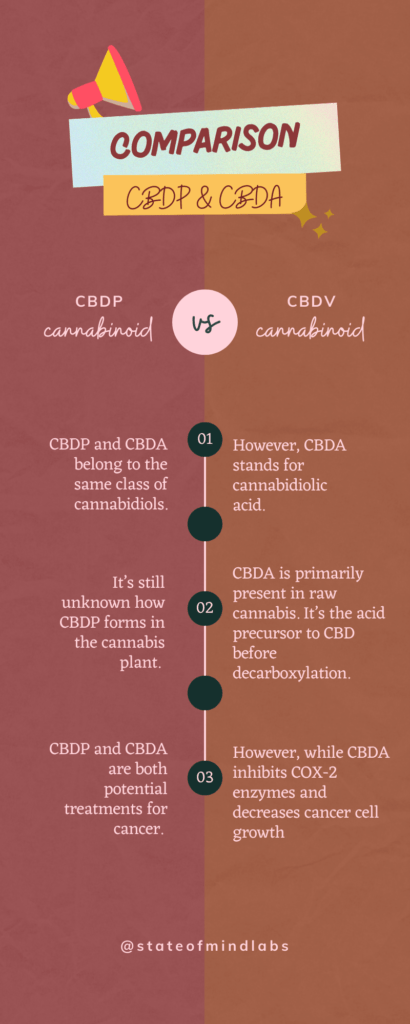 Read more about the article How Is CBDP Made?