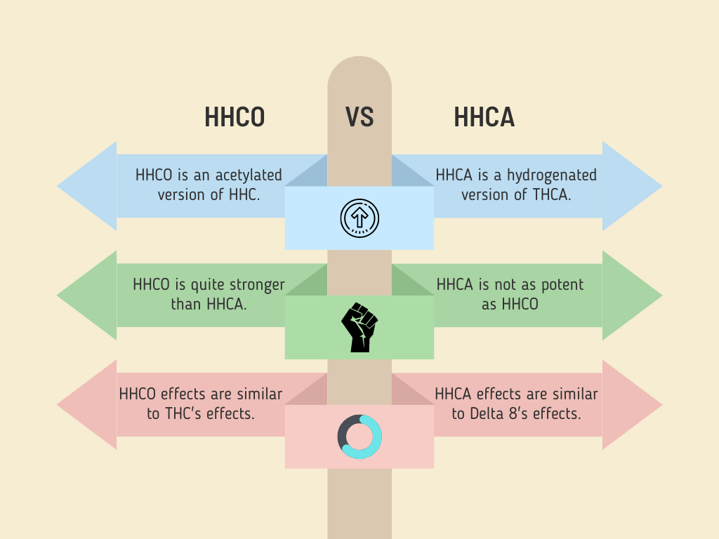 Read more about the article The Difference Between HHCO V.S HHCA