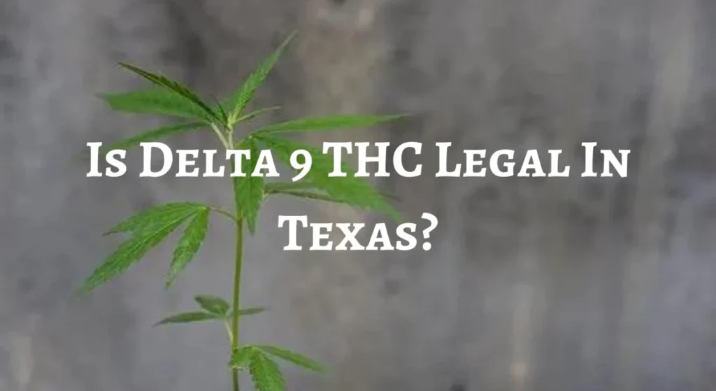 Read more about the article Is Delta 9 Legal in Texas?